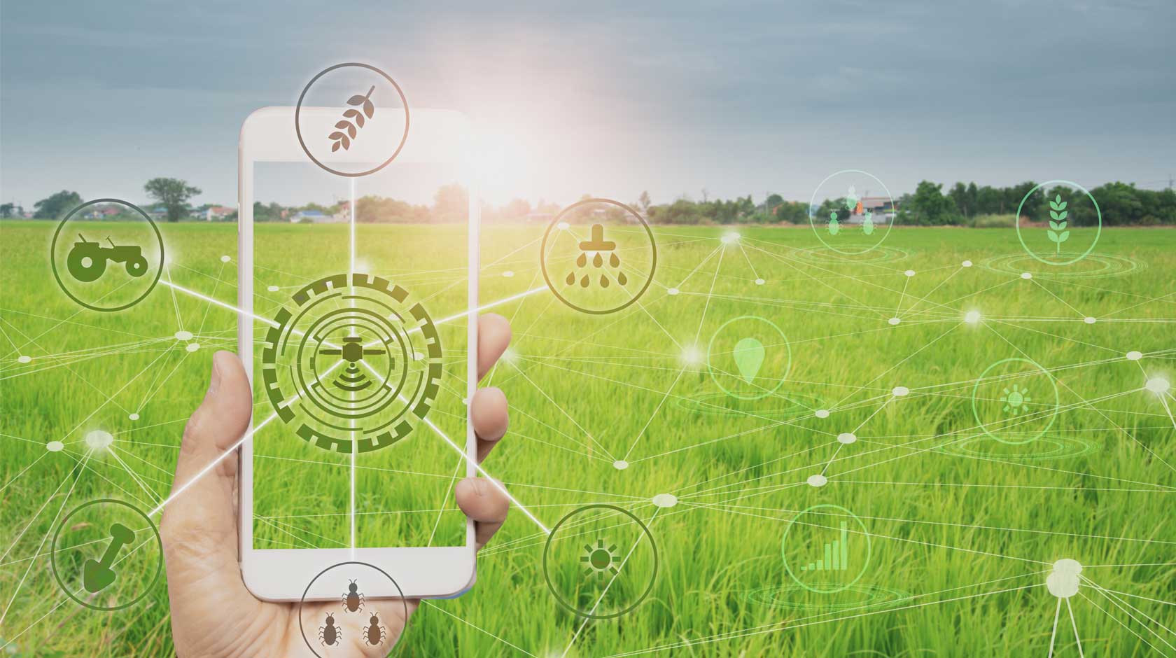 Digital Traceability Graphic